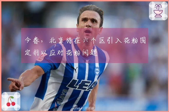 今春，北京将在六个区引入花粉固定剂以应对花粉问题