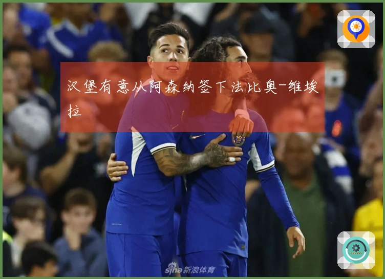 汉堡有意从阿森纳签下法比奥-维埃拉