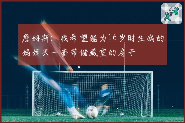 詹姆斯：我希望能为16岁时生我的妈妈买一套带储藏室的房子