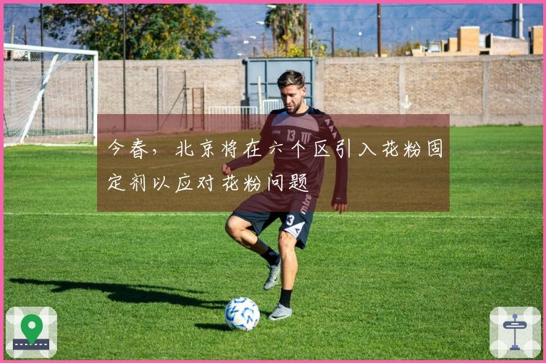 今春，北京将在六个区引入花粉固定剂以应对花粉问题